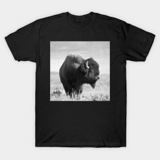 Buffalo 02 T-Shirt